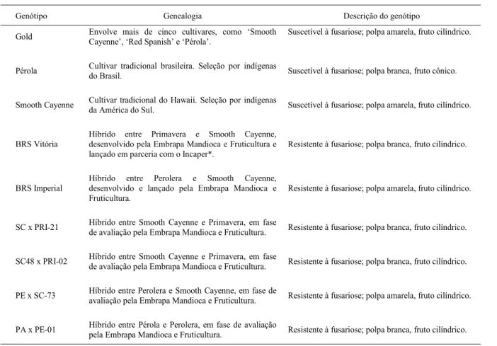 Tabela 1 - Descrição dos genótipos de abacaxi avaliados.