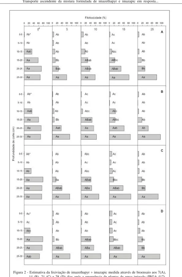 Figura 2 - Estimativa da lixiviação de imazethapyr + imazapic medida através de bioensaio aos 7(A),  14 (B), 21 (C) e 28 (D) dias após a emergência de plantas de arroz irrigado (IRGA 417),  cultivadas em solo proveniente de diferentes camadas dos lisímetro