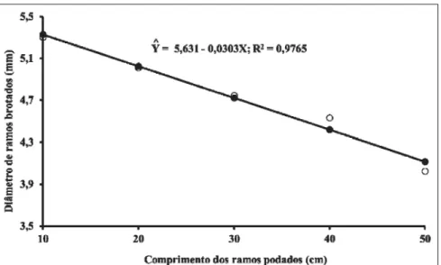 Figura 3 - Diâmetro dos ramos brotados em plantas de atemoia ‘Gefner’ em função de diferentes  comprimentos de ramos podados, no município de Matias Cardoso, MG, 2008.