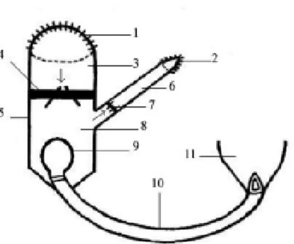 Fig. 1 - The experimental model for a pulmonary ventricle which produces pulsatile pressure
