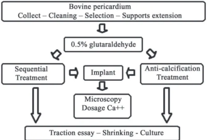 Fig. 1 – Flowchart of the method used