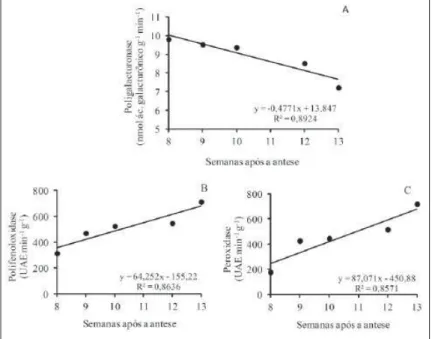 Figura 2 - Valores médios e equações de regressão da atividade das enzimas  poligalacturonase (A), polifenoloxidase (B) e peroxidase (C) no  mesocarpo interno do pequi (Caryocar brasiliense Camp.), durante o  desenvolvimento do fruto