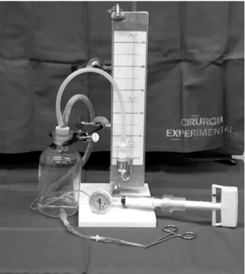 Fig. 1 - Standardization of the pressure exerted on the saphenous veins