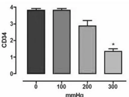 Fig. 1 - Immunohistochemical expression of CD 34 (n=20, ANOVA, p < 0,05). Asterisk indicates statistically significant difference