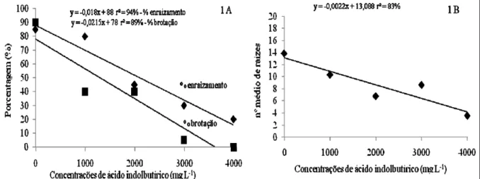 Figura 1 -  Porcentagem de enraizamento e brotação (1A) e número médio de raízes (1B) de estacas caulinares de ‘Boysenberry’ submetidas a diferentes concentrações de ácido indolbutírico (AIB)