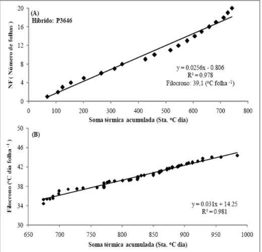Figura 2 - Relação entre o número de folhas acumuladas na haste principal (NF) e a soma térmica acumulada a partir da emergência (STa) utilizada para a estimativa do filocrono do híbrido P3646 no ano agrícola 2008/2009 (A)