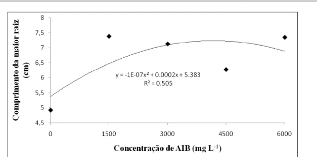 Figura 2 - Comprimento da maior raiz de cultivares de mirtileiro em função dos níveis do fator concentração de AIB