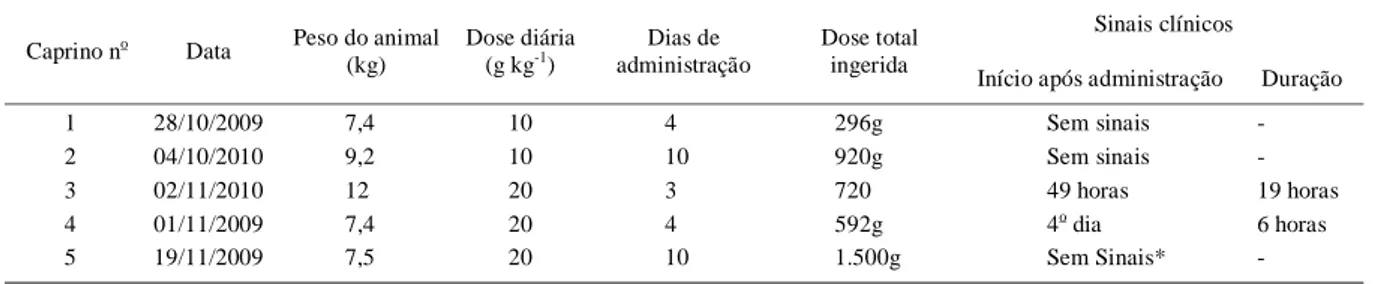 Tabela 1 - Experimento de toxicidade dos frutos de Casearia commersoniana administrado a caprinos.