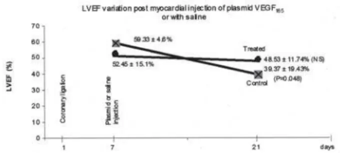 Table 1. Number of capillaries and arterioles per square centimeter in each of the three areas analyzed under histological examination