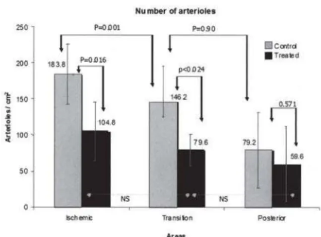 Fig. 4 - Comparison between the number of arterioles/cm 2 ; in control and treated groups