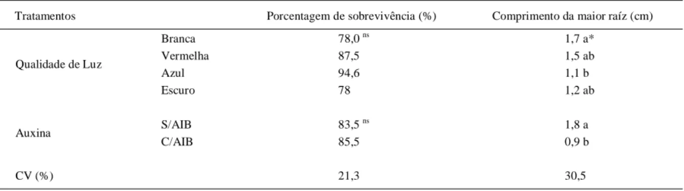 Tabela 3 - Porcentagem de sobrevivência e comprimento da maior raiz da amoreira-preta ‘Xavante’ em função da qualidade de luz e da presença (C, 0,5mg L -1 ) ou ausência (S, 0mg L -1 ) de ácido indolbutírico (AIB).