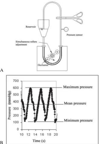 Fig. 2 - A - Illustration of the methodology used for measuring dynamic calibration. B:  Maximum, minimum and mean pressure values during the process of dynamic calibration