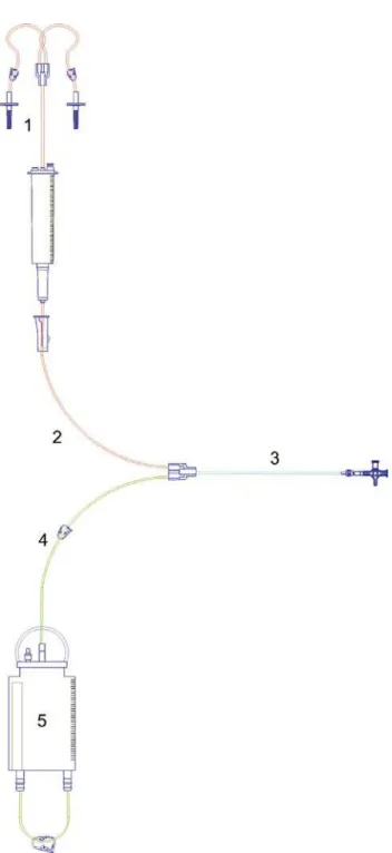 Fig. 2 – Scheme of the closed pediatric peritoneal dialysis system showing places on which the chemical indicators were inserted