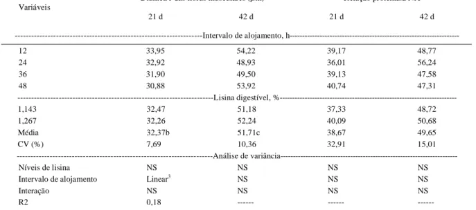 Tabela 3 - Influência do intervalo para o alojamento (IA) e dos níveis de lisina digestível, em dietas baseadas no conceito de proteína ideal, sobre o diâmetro das fibras musculares esqueléticas e relação Proteína:DNA do músculo Pectoralis major dos frango