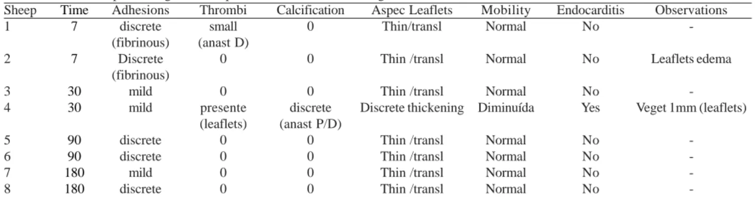 Table 1. Macroscopic findings of the explanted decellularized homografts.