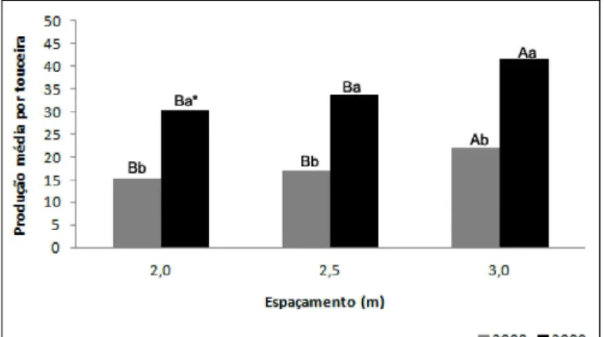 Figura  2  -  Produção  média  anual  de  inflorescências  de  bastão-do-imperador  por touceira  em  diferentes  espaçamentos  de  plantio  nos  anos  de  2008  e 2009