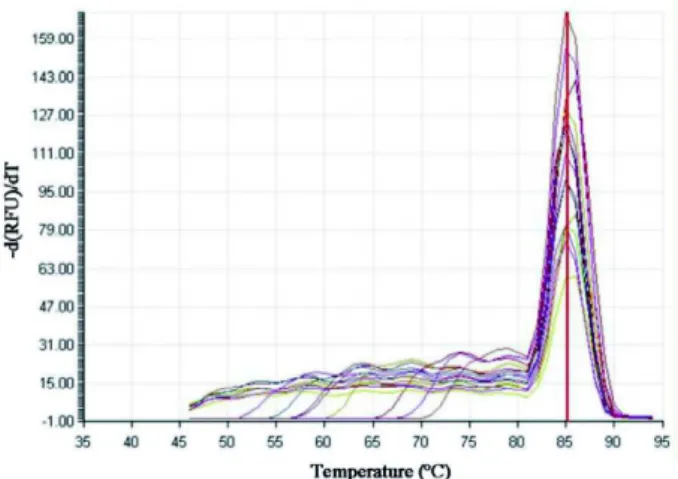 Fig. 1 - The melting curves indicated a single peak with a melting temperature (Tm) of 85.1ºC for the samples