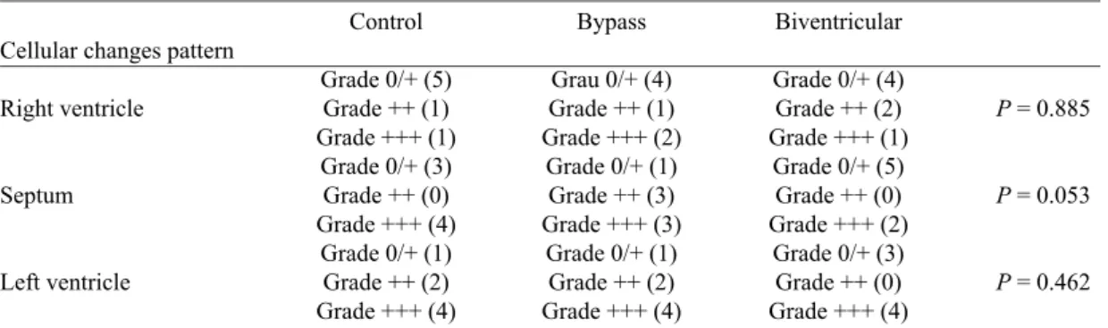 Table 4. Changes in electron microscopy.