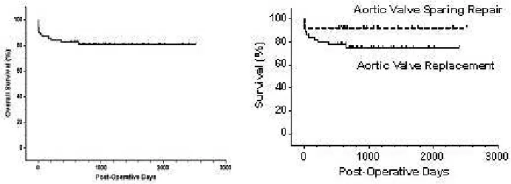 Fig. 1A - The overall survival. 1B. Kaplan Meier curve, comparing the survival  between two  groups (95% CI, 1,225 to 0,1265, P=0,10)