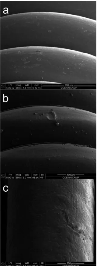 Fig. 1 – SEM pictures of guide wire catheter samples A, B and C. 