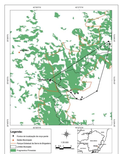 Figura  1  -  Área  de  uso  de  exemplar  de  Puma  concolor  reintroduzido  no  entorno  do  Parque Estadual  Serra  do  Brigadeiro  (PESB).