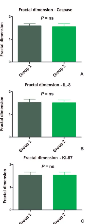 Fig. 1 - Histograms showing distribution of fractal dimension  in: (A) caspase. (B) IL-8 and (C) KI-67