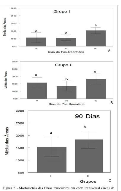 Figura  2  -  Morfometria  das  fibras  musculares  em  corte  transversal  (área)  de cães  submetidos  à  EENM  de  média  frequência  com  atrofia muscular  induzida  nos  tempos  zero,  30  e  90  dias  após  a imobilização  da  articulação  do  joelho