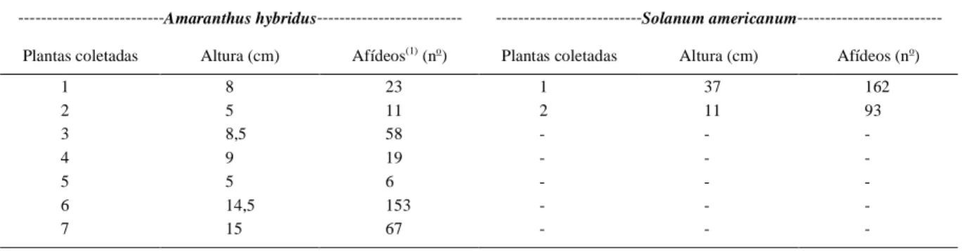 Tabela 1 - Número de pulgões, Aphis craccivora Koch, em espécies de plantas daninhas coletadas em 25/03/2010