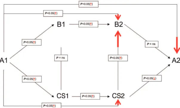 Fig. 1 - Schematic representation of the dynamics of TBARS concentrations. (↑ ↓) means the variation signal.