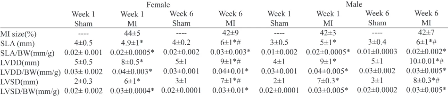 Table 2. Echocardiographic functional parameters for female and male rats post-MI.