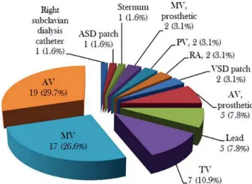 Fig. 2 - Distribution of infection sites. 