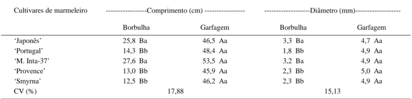 Tabela 2 - Comprimento e diâmetro médio de enxertos de cinco cultivares de marmeleiro enxertadas pelos métodos de borbulhia e garfagem