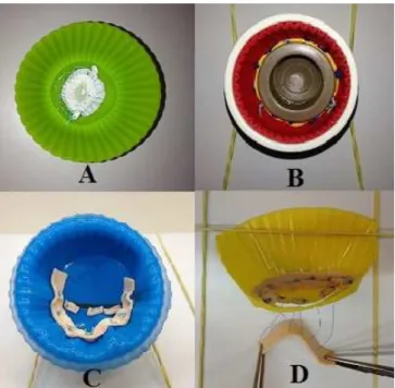 Fig. 2 –  A.  Upper view of the silicone mold in tricuspid valvuloplasty  exercise, ASD and proximal anastomosis