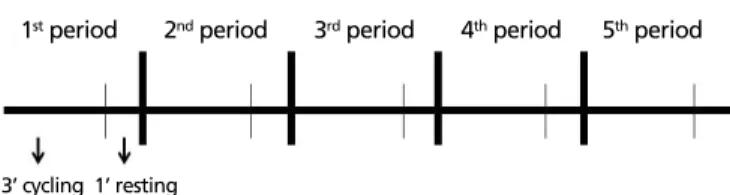 Fig. 1 - Intermittent protocol: stationary cycle ergometer exercise  training.