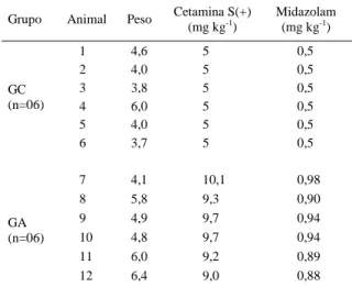 Tabela 1 - Valores individuais referentes ao peso de cada animal e doses utilizadas de cetamina S(+) e midazolam calculados pelo método convencional (GC) ou por meio da extrapolação alométrica (GA) em macacos bugios-ruivos.