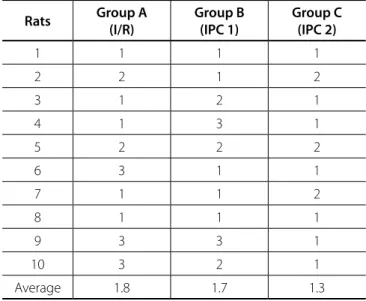 Table 1. Results of the degree of liver damage observed in  animals, according to the groups.