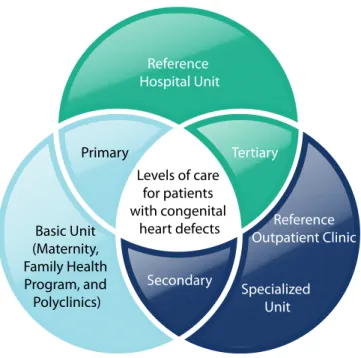 Fig. 4 - Competencies of clinical care units, related to care for  patients with congenital heart disease.