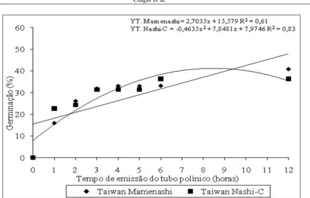 Figura 6 - Porcentagem de grãos de pólen germinados de pereira ‘Taiwan Mamenashi’ e ‘Taiwan Nashi-C’ durante o período de 12 horas após a inoculação, avaliando-se quatro repetições de 150 pólen cada