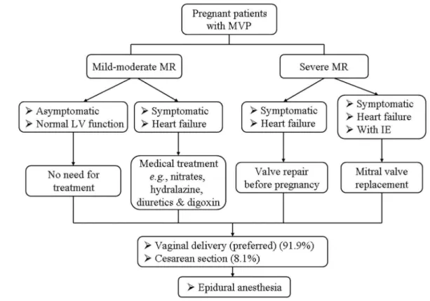 Fig. 2 - The management strategies of mitral regurgitation due to mitral valve prolapse in pregnant patients [9,10,30] 