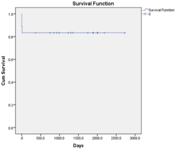 Fig. 3 - Survival analysis presented in Kaplan-Meier analysis.