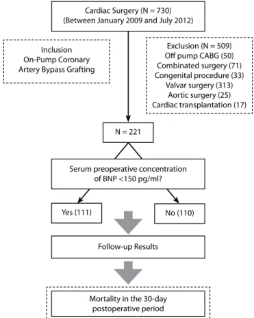 Fig. 1 - Flowchart for study enrollment and patient outcome (CABG  – Coronary Artery Bypass Graft Surgery, BNP – B -type natriuretic  peptide, PO - postoperative).