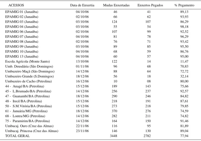 Tabela 1 - Mudas enxertadas e percentuais de pegamento de umbuzeiros da EPAMIG (Janaúba - MG), Escola Agrícola (Monte Santo-BA), Comunidade Boa Fé (São Domingos-BA), Embrapa Semiárido (Petrolina-PE) e de Umbucajazeiras (Cruz das Almas - BA) em porta-enxert