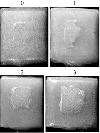 Figure 3. Samples illustrating the different patterns of bracket debonding and representative of all ARI scores