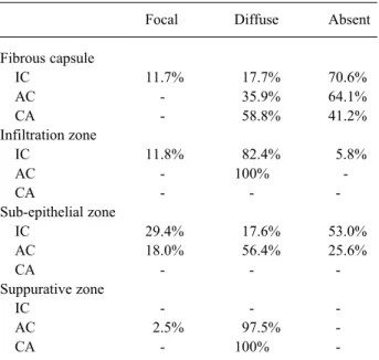 Table 2. CD20+ lymphocyte distribution in the zones studied.