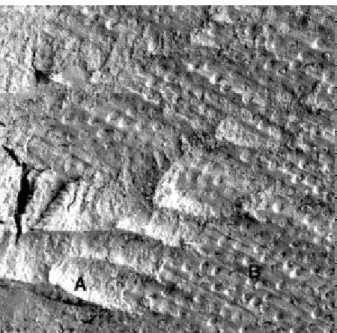 Figure 2. Morphologic aspect of debonding area using Scotchbond Multi Purpose (500X magnification)