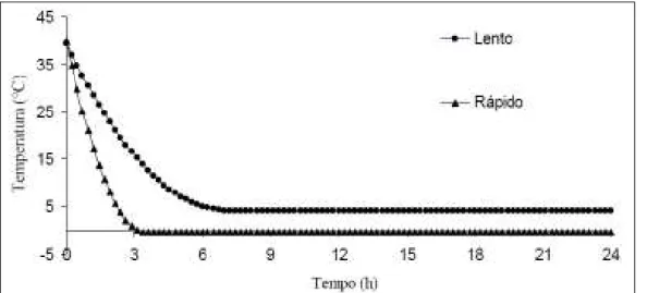 Figura 1  - Velocidade de queda de temperatura das amostras submetidas ao resfriamento lento e rápido.