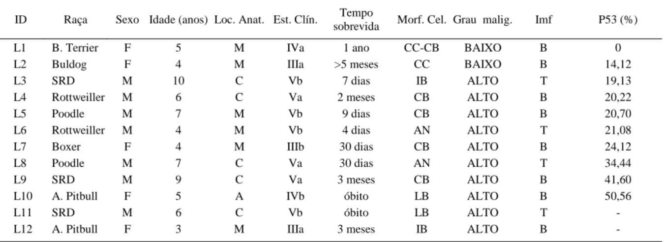 Tabela 1 - Identificação, raça, sexo, idade, localização anatômica, estadiamento clínico, tempo de sobrevida, classificação histológica (morfologia celular e grau de malignidade), imunofenótipo e reatividade da p53.