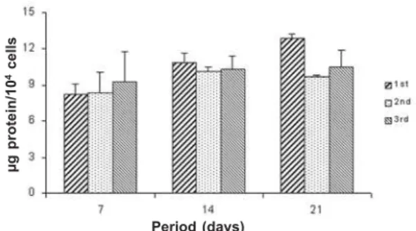 Figure 2. Cell proliferation at 7, 14 and 21 days. Data are reported as means plus or minus the standard deviation (n=5).