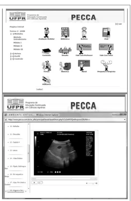 Figura 1 - Ilustração gráfica da página inicial do curso com acesso aos diversos elementos disponíveis ofertados durante os módulos e ilustração da entrada de um vídeo de exame ultrassonográfico.