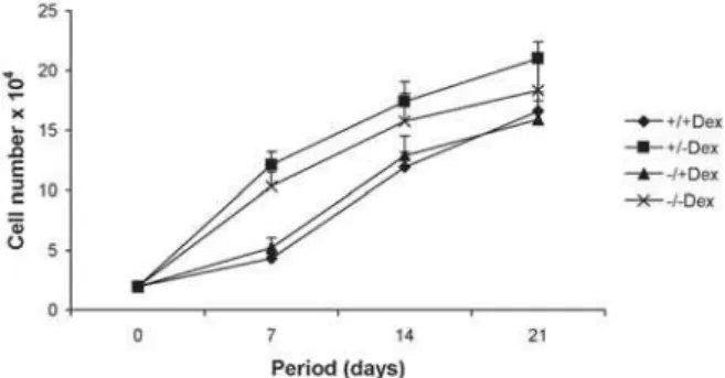 Figure 3. Total protein content normalized by the number of cells ( μ g protein/10 4  cells) counted at 7, 14 and 21 days
